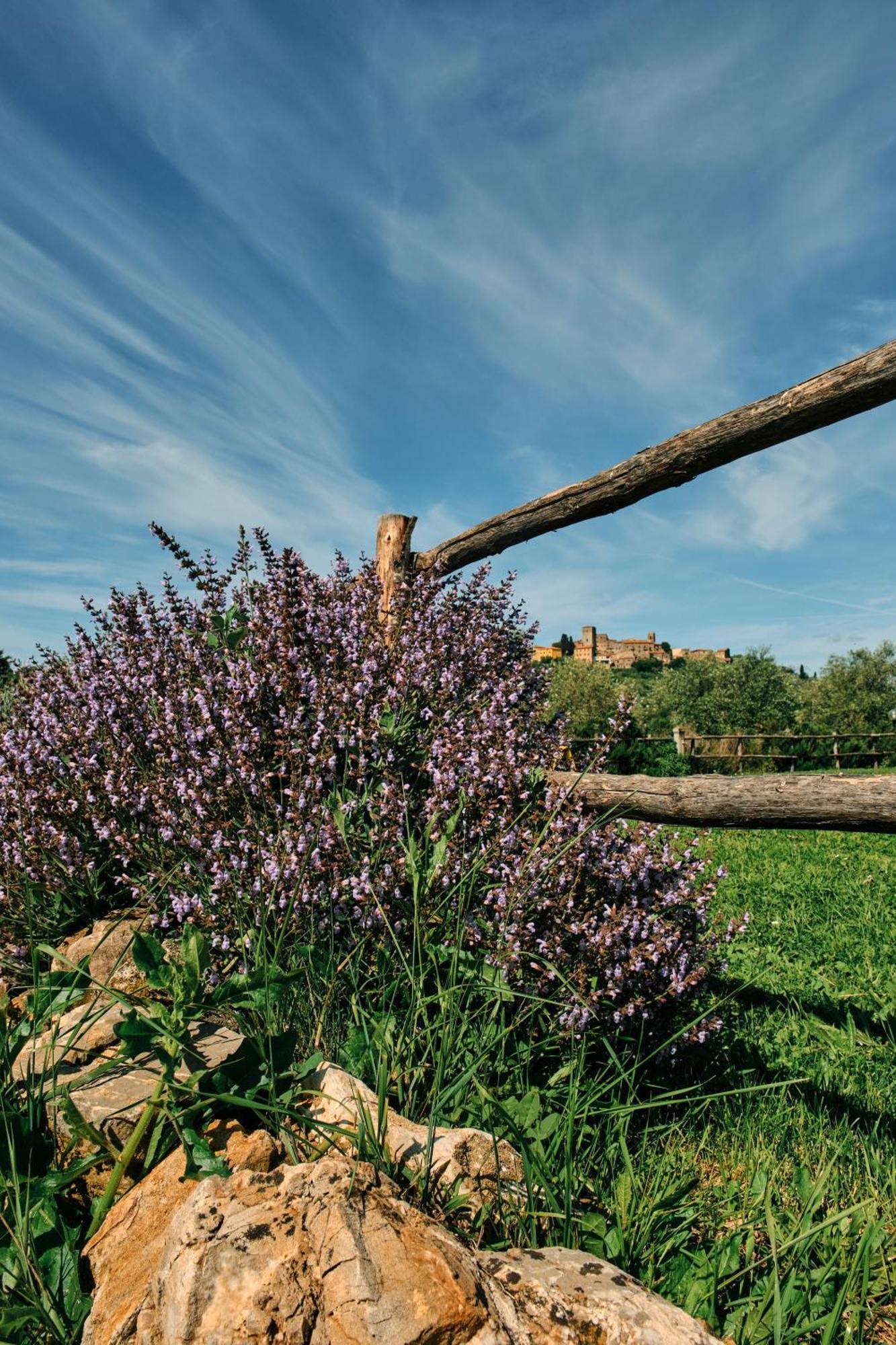 8380 Agriturismo Il Saragiolo Manciano Bagian luar foto
