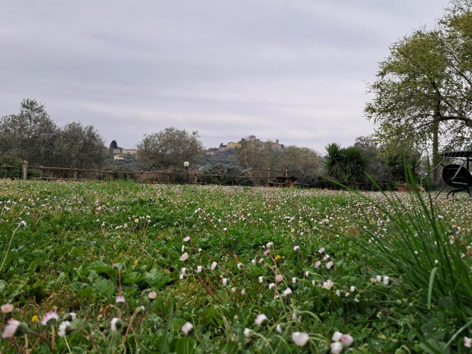 8380 Agriturismo Il Saragiolo Manciano Bagian luar foto