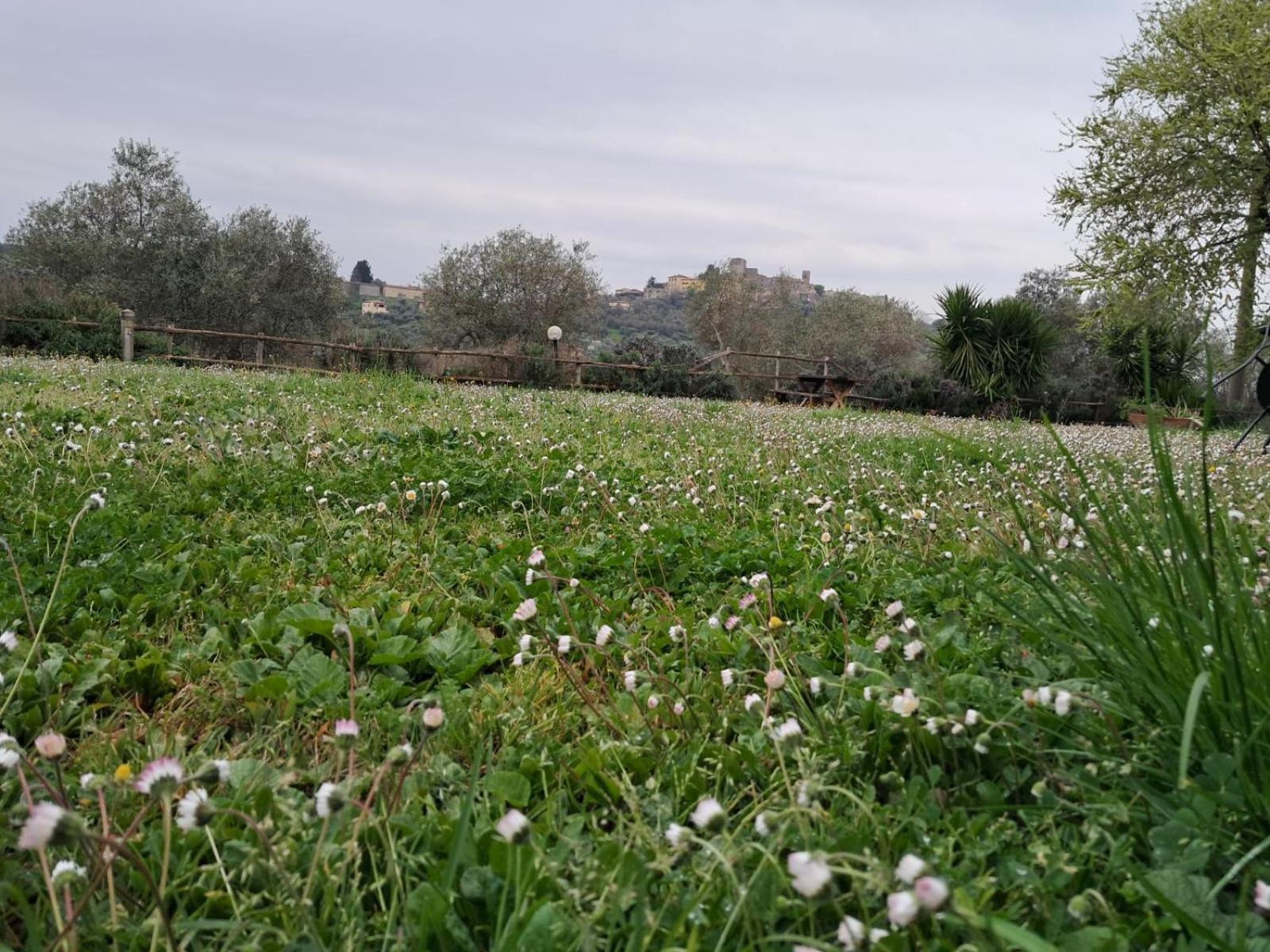 8380 Agriturismo Il Saragiolo Manciano Bagian luar foto